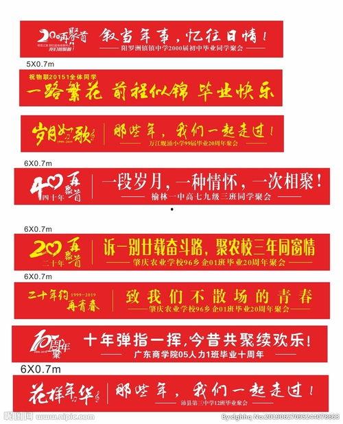 网红同学会照片